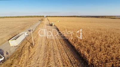 Harvesters work on cornfield