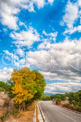 country road in an autumn afternoon