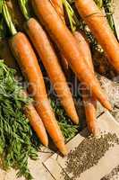 Mohrrüben und Möhrensamen, carrots and seeds