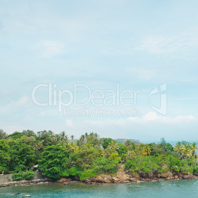 peninsula with tropical palm trees and waterscape