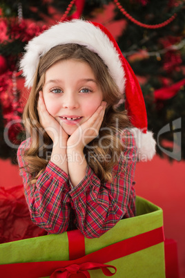 Festive little girl smiling at camera