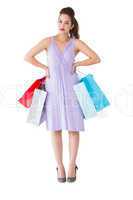 Elegant brunette with shopping bags