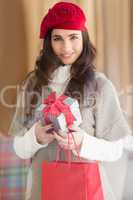 Smiling brunette holding gift and shopping bags