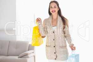 Smiling brunette holding shopping bags