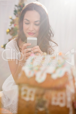 Pretty brunette using her smartphone on the sofa