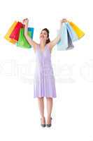 Smiling brunette showing shopping bags