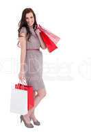 Elegant brunette posing with shopping bags