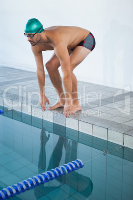 Fit swimmer about to dive into the pool