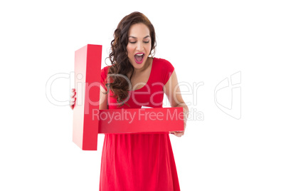 Astonished brunette holding a box