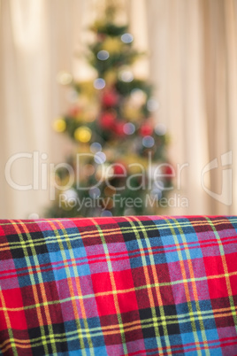 Warm blanket on the couch at christmas