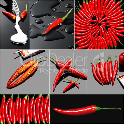 red hot chili peppers collage