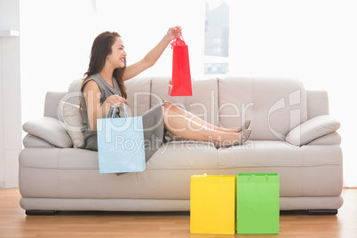 Brunette sitting on the couch holding shopping bags