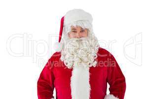 Portrait of smiling santa claus