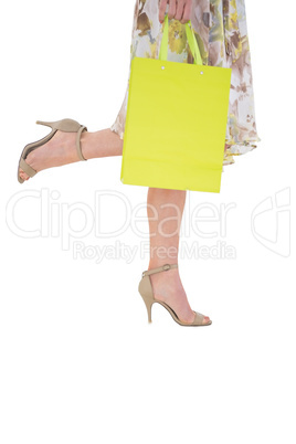 Elegant woman holding shopping bag