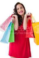 Elegant brunette in red dress holding shopping bags