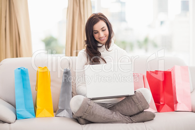 Beauty brunette using her laptop on the couch