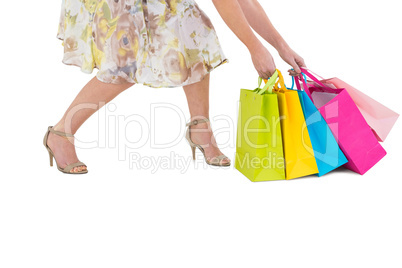 Elegant woman holding shopping bags