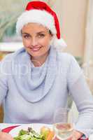 Portrait of pretty young woman in santa hat smiling