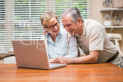 Senior couple using the laptop together