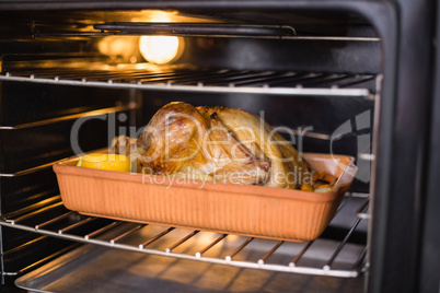 Close up of roast turkey in oven for christmas dinner
