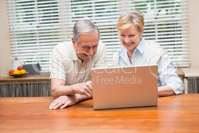 Senior couple using the laptop together