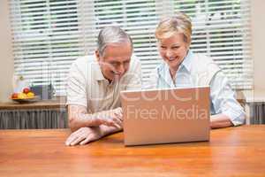 Senior couple using the laptop together