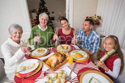 Portrait of happy family toasting at camera