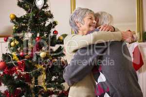 Senior couple hugging beside their christmas tree