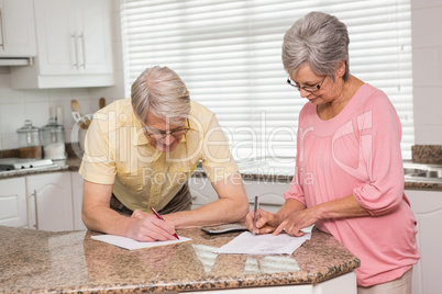 Senior couple paying their bills