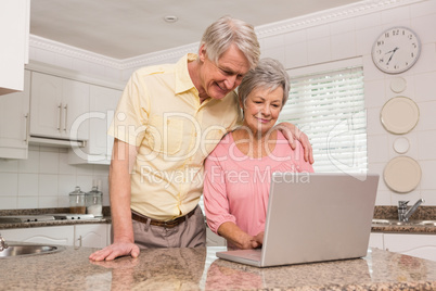 Senior couple using the laptop together