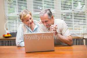 Senior couple using the laptop together