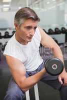 Fit man lifting dumbbells sitting on the bench