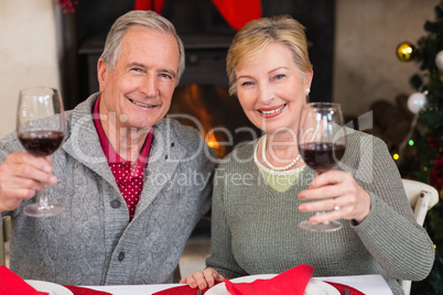 Couple toasting to the camera with red wine