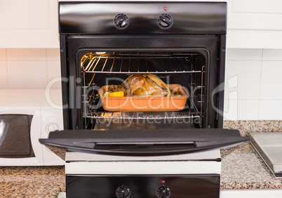 Roast turkey in oven for christmas dinner