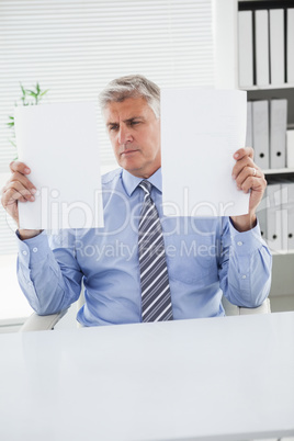 Mature businessman looking at two pages