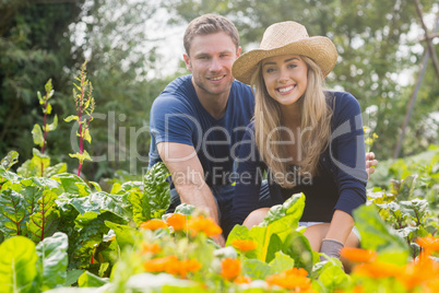 Cute couple gardening on sunny day