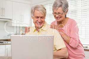 Senior couple using the laptop together