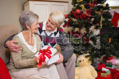 Senior couple sitting beside their christmas tree