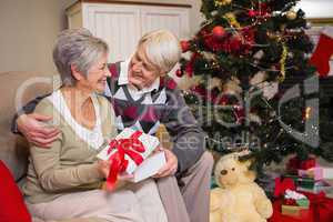 Senior couple sitting beside their christmas tree