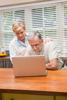 Senior couple using the laptop together