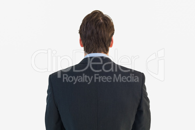 Rear view of businessman standing