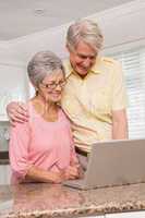 Senior couple using the laptop together