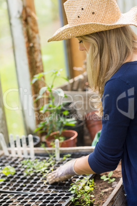 Pretty blonde gardening in greenhouse