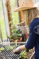 Pretty blonde gardening in greenhouse