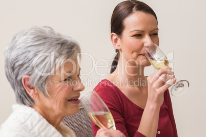 Portrait of women drinking champagne