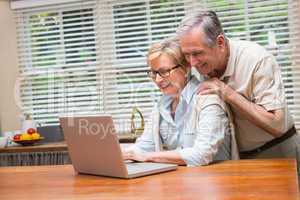 Senior couple using the laptop together