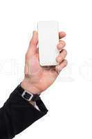Hand of a businessman with watch holding mobile