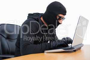 Burglar in sunglasses using laptop
