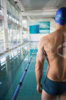 Rear view of shirtless swimmer by pool at leisure center
