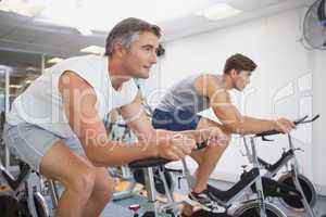 Fit people working out on the exercise bikes